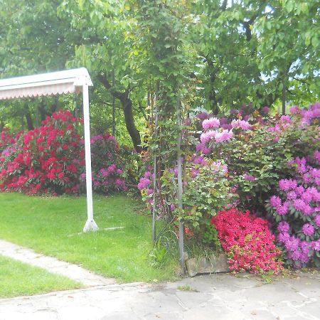 Albergo Negritella Borgo Valsugana Bagian luar foto