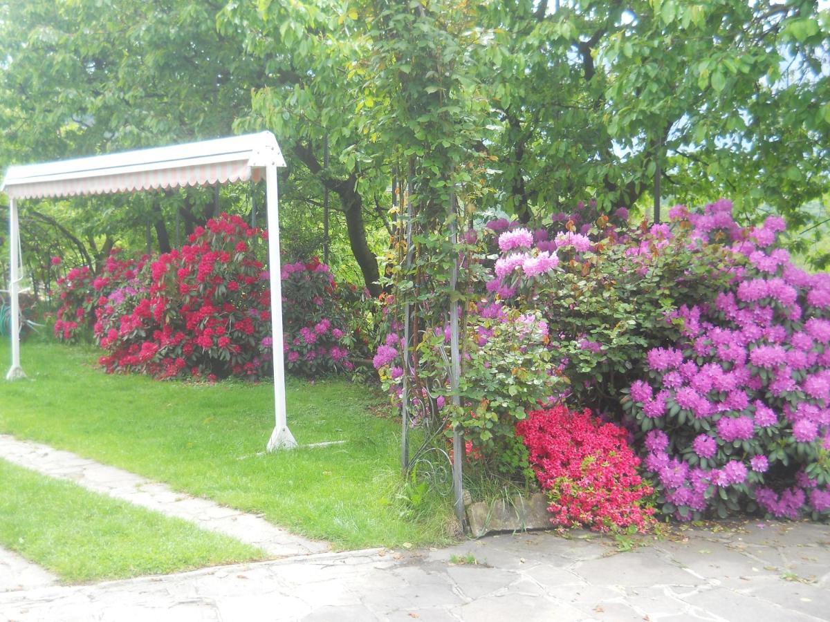 Albergo Negritella Borgo Valsugana Bagian luar foto